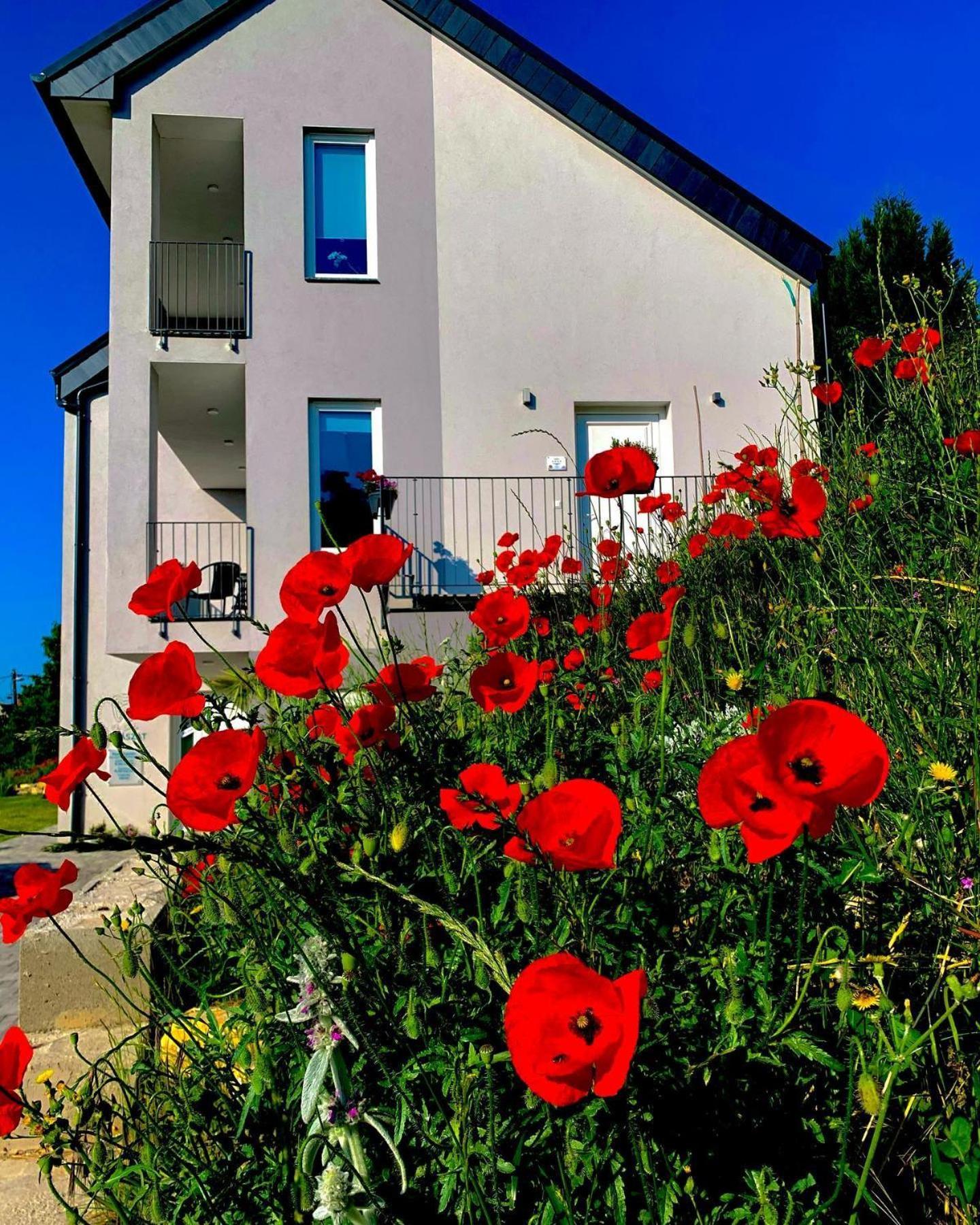 Old Hill Residence Csopak Esterno foto